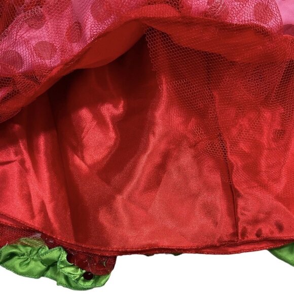 STRAWBERRY SHORTCAKE  Sequin Polka Dot Tutu Girls CS (4-6) Pink Multi  Dance NWT - Picture 6 of 14